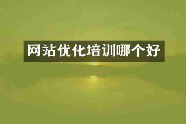 网站优化培训哪个好
