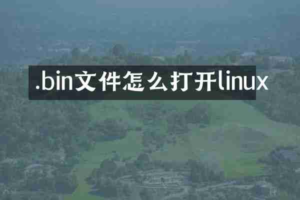 .bin文件怎么打开linux