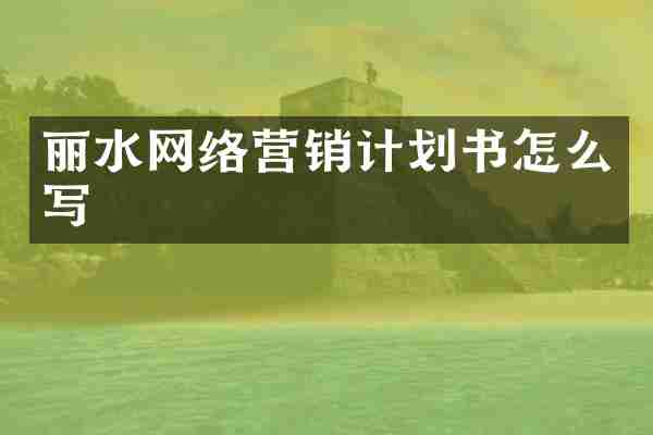丽水网络营销计划书怎么写