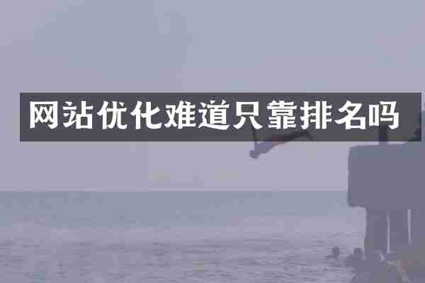 网站优化难道只靠排名吗