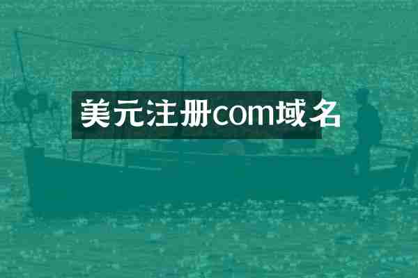 美元注册com域名