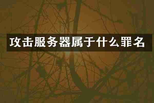 攻击服务器属于什么罪名