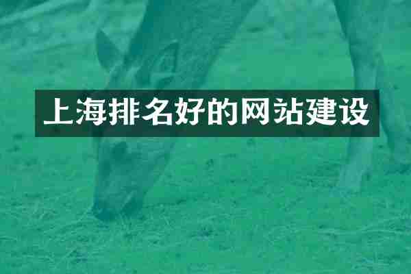 上海排名好的网站建设
