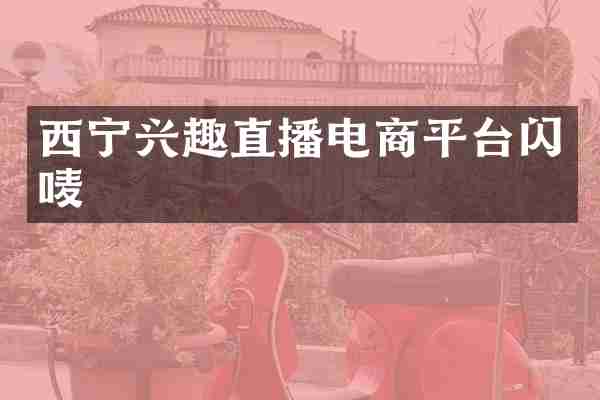 西宁兴趣直播电商平台闪唛