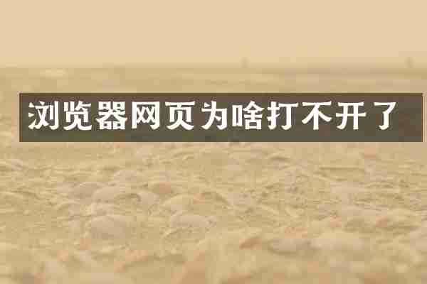 浏览器网页为啥打不开了