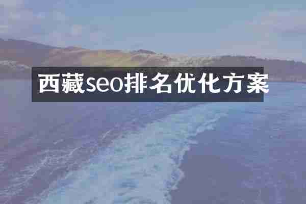 西藏seo排名优化方案