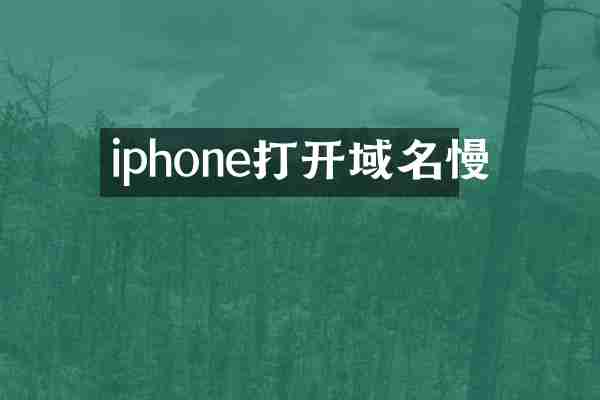iphone打开域名慢