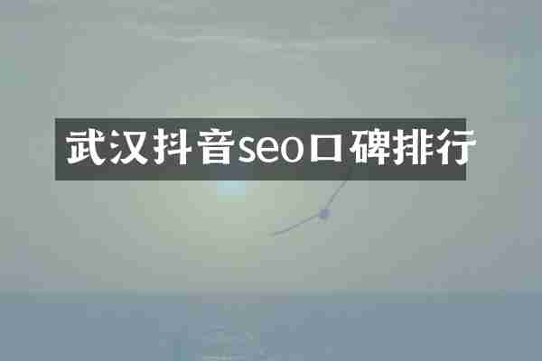 武汉抖音seo口碑排行