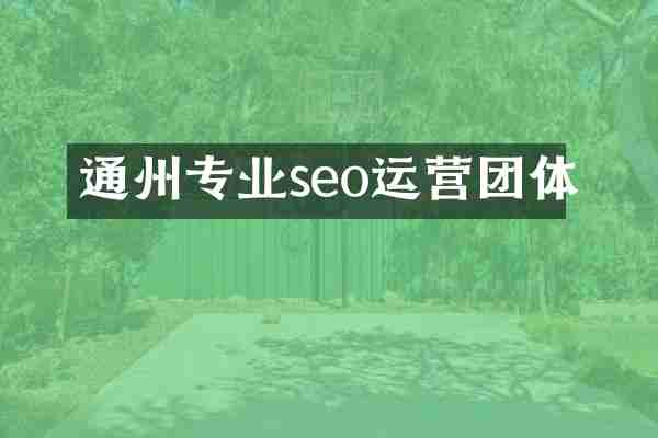 通州专业seo运营团体