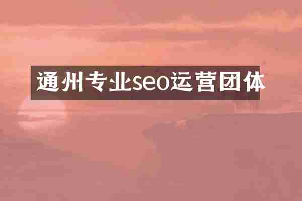 通州专业seo运营团体