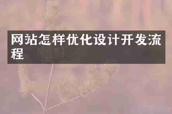 网站怎样优化设计开发流程