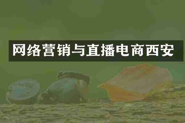 网络营销与直播电商西安