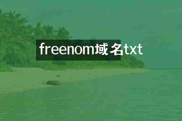 freenom域名txt