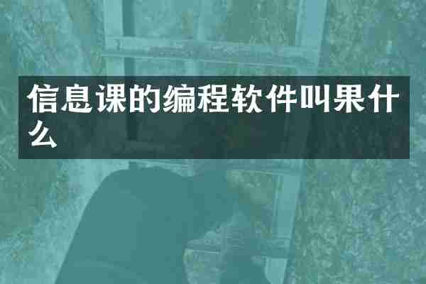 信息课的编程软件叫果什么