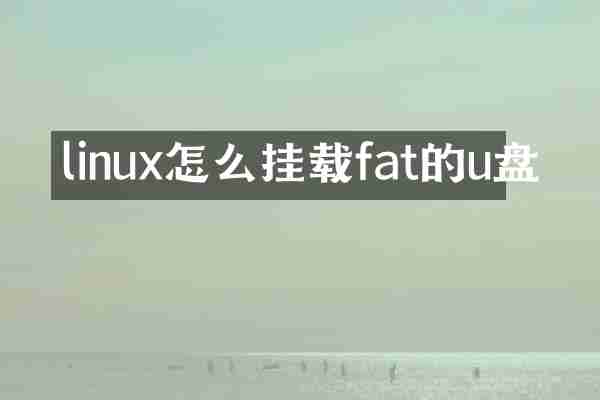 linux怎么挂载fat的u盘