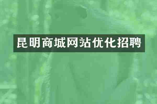 昆明商城网站优化招聘