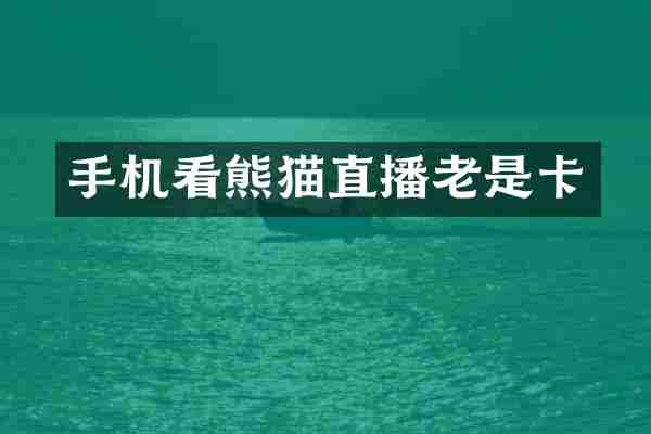 手机看熊猫直播老是卡