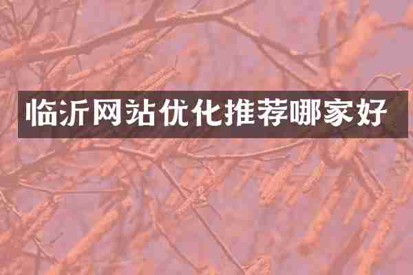 临沂网站优化推荐哪家好