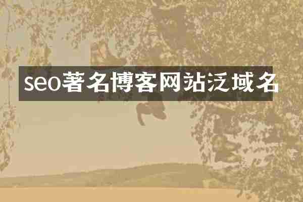 seo著名博客网站泛域名