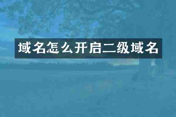 域名怎么开启二级域名