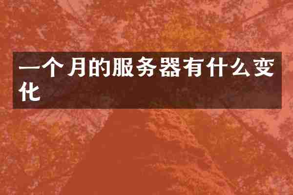 一个月的服务器有什么变化