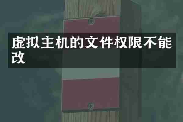虚拟主机的文件权限不能改