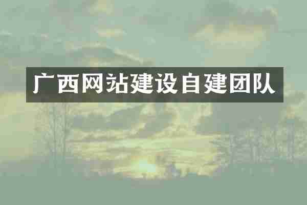 广西网站建设自建团队