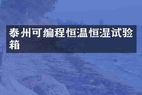 泰州可编程恒温恒湿试验箱