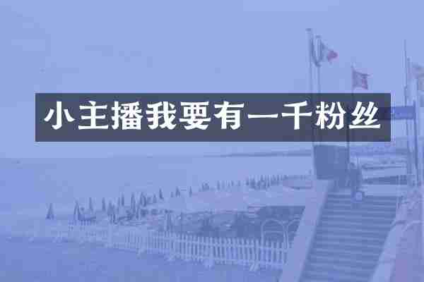 小主播我要有一千粉丝