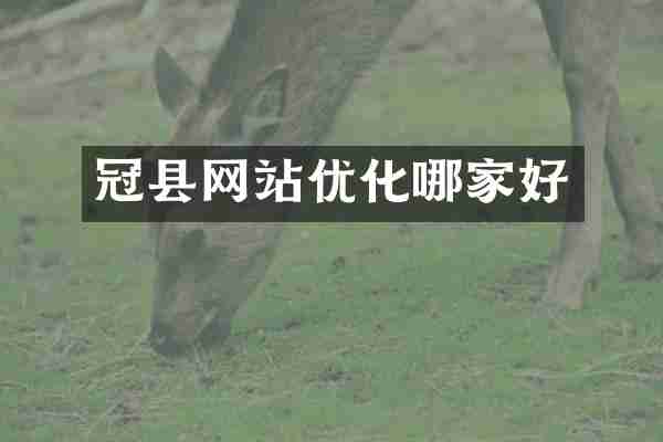 冠县网站优化哪家好