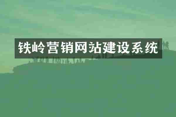 铁岭营销网站建设系统