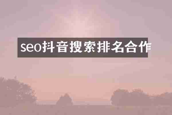 seo抖音搜索排名合作