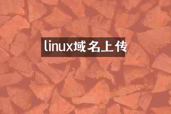linux域名上传