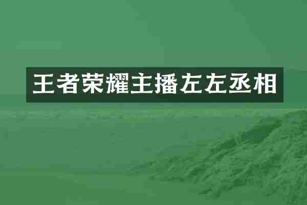 王者荣耀主播左左丞相