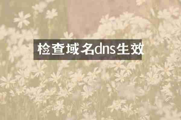 检查域名dns生效