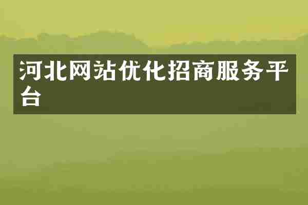 河北网站优化招商服务平台