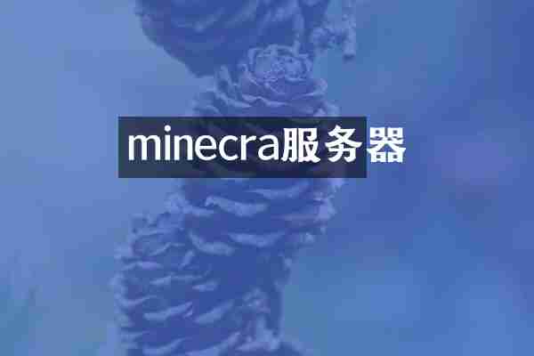 minecra服务器