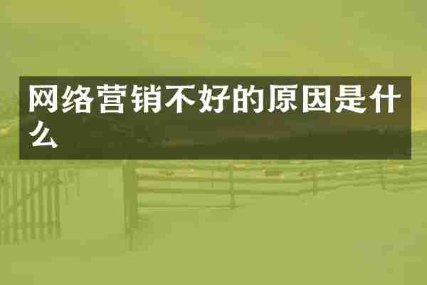 网络营销不好的原因是什么