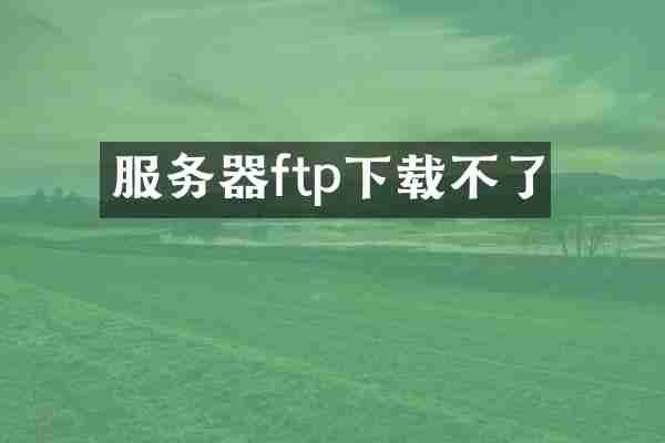 服务器ftp下载不了