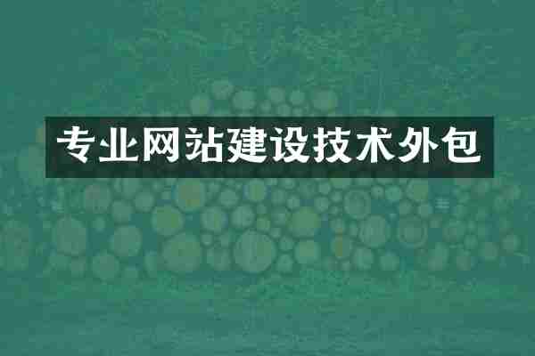 专业网站建设技术外包