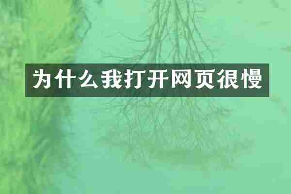 为什么我打开网页很慢