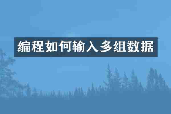 编程如何输入多组数据