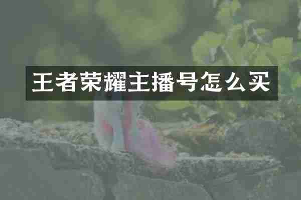 王者荣耀主播号怎么买
