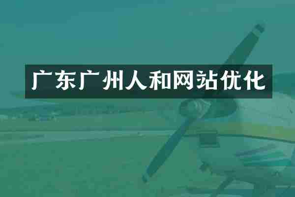 广东广州人和网站优化