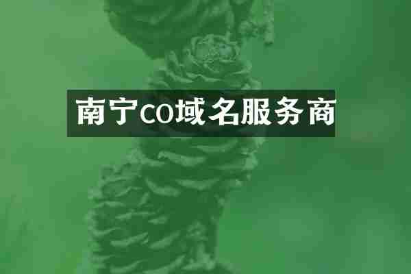 南宁co域名服务商