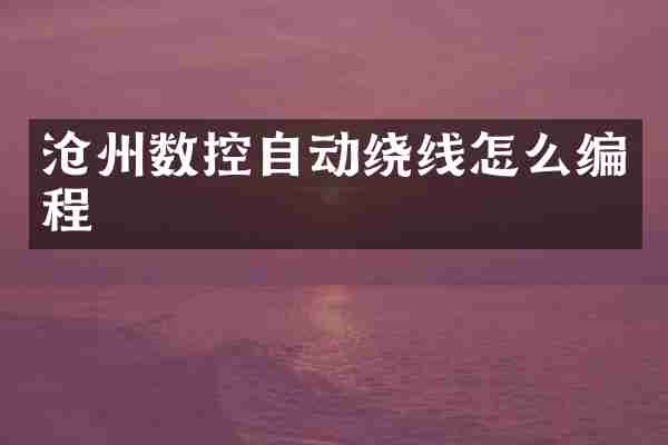 沧州数控自动绕线怎么编程