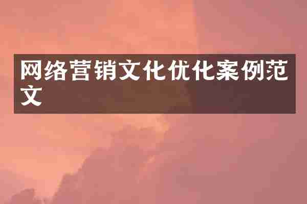 网络营销文化优化案例范文