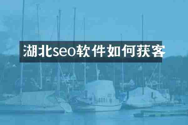 湖北seo软件如何获客