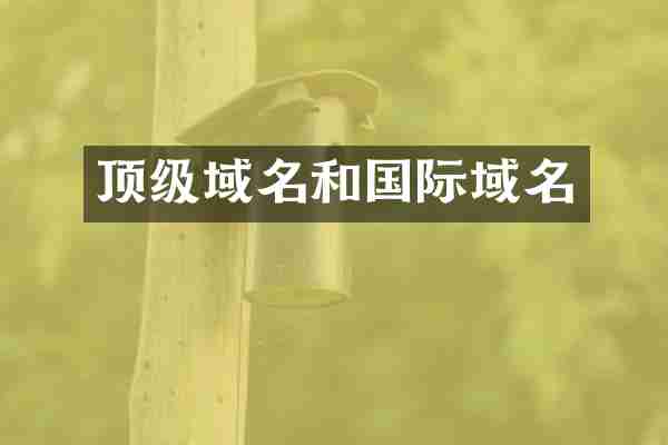 顶级域名和国际域名