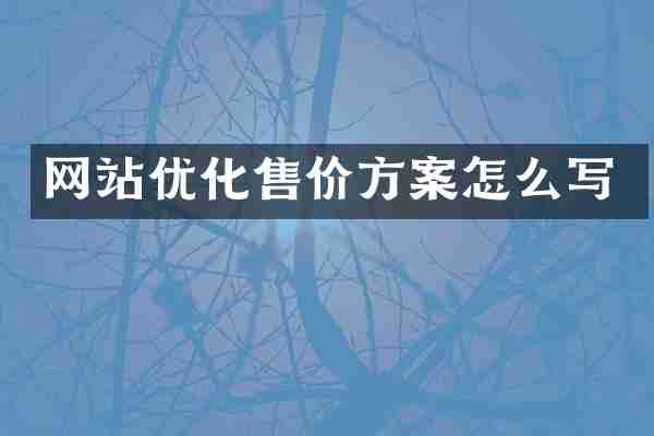 网站优化售价方案怎么写